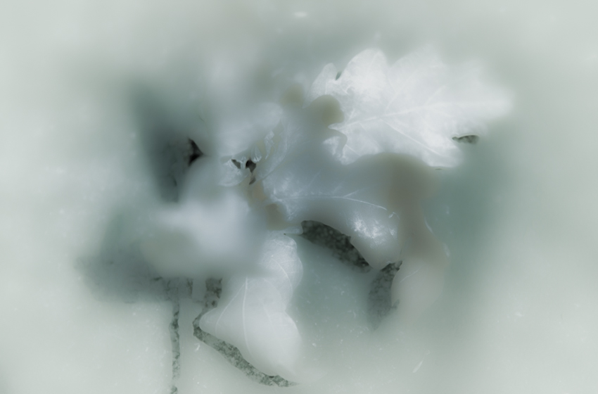 Deze afbeelding heeft een leeg alt-attribuut; de bestandsnaam is abstract-fotovanmieke©-215190.jpg